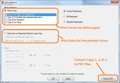 w2 1099 company setup form